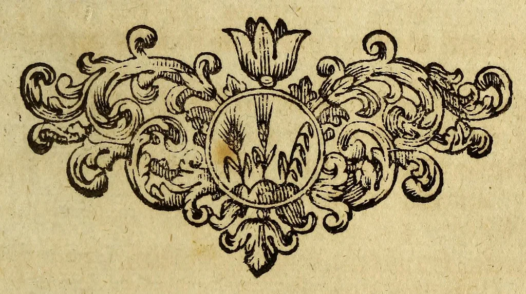 An illustration from Guineische und West-indianische Reissbeschreibung, de An. 1639. biss 1645. von Ambsterdam nach St. Joris de Mina, ein Castell, in Africa, und nach Brasilien in America,, 1669, leaf 193
