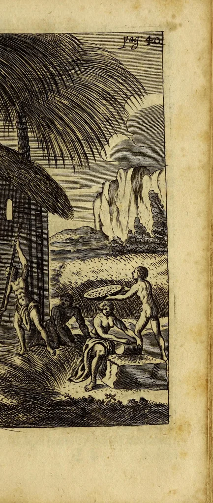 An illustration from Guineische und West-indianische Reissbeschreibung, de An. 1639. biss 1645. von Ambsterdam nach St. Joris de Mina, ein Castell, in Africa, und nach Brasilien in America,, 1669, leaf 87