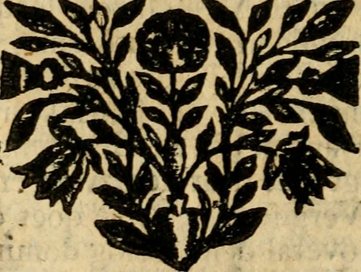 An illustration from Gulden-spiegel, ofte opwekkinge tot christelijke deugden : afgedeelt in twee deelen : waar in vertoond werd de schadelijkheyd der zonden, mitsgaders de goedigheyd en weldaaden Godts over den boetveerdigen, tot leeringe en stigtinge aller christenen toe-gepast : nog is hier by gevoegt Thamars ontschaking, of de verdoolde liefde van Ammon : als mede de vermaakelijke bruylofts-kroon : doorblogten met verscheyde leerzame gedigten, vermaakelijke bruylofts en aandagtige liedekens : voorgesteld op de vier geteyden van den dag, 1763, leaf 109