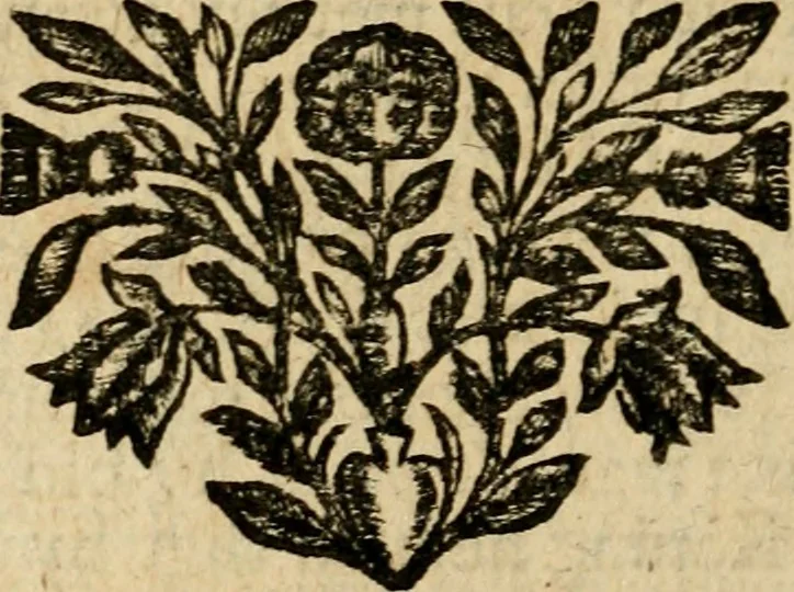 An illustration from Gulden-spiegel, ofte opwekkinge tot christelijke deugden : afgedeelt in twee deelen : waar in vertoond werd de schadelijkheyd der zonden, mitsgaders de goedigheyd en weldaaden Godts over den boetveerdigen, tot leeringe en stigtinge aller christenen toe-gepast : nog is hier by gevoegt Thamars ontschaking, of de verdoolde liefde van Ammon : als mede de vermaakelijke bruylofts-kroon : doorblogten met verscheyde leerzame gedigten, vermaakelijke bruylofts en aandagtige liedekens : voorgesteld op de vier geteyden van den dag, 1763, leaf 197