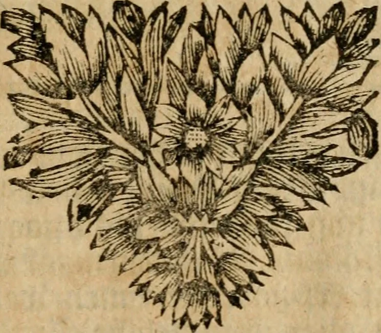 An illustration from Gulden-spiegel, ofte opwekkinge tot christelijke deugden : afgedeelt in twee deelen : waar in vertoond werd de schadelijkheyd der zonden, mitsgaders de goedigheyd en weldaaden Godts over den boetveerdigen, tot leeringe en stigtinge aller christenen toe-gepast : nog is hier by gevoegt Thamars ontschaking, of de verdoolde liefde van Ammon : als mede de vermaakelijke bruylofts-kroon : doorblogten met verscheyde leerzame gedigten, vermaakelijke bruylofts en aandagtige liedekens : voorgesteld op de vier geteyden van den dag, 1763, leaf 38