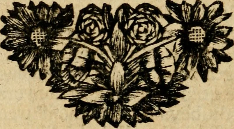 An illustration from Gulden-spiegel, ofte opwekkinge tot christelijke deugden : afgedeelt in twee deelen : waar in vertoond werd de schadelijkheyd der zonden, mitsgaders de goedigheyd en weldaaden Godts over den boetveerdigen, tot leeringe en stigtinge aller christenen toe-gepast : nog is hier by gevoegt Thamars ontschaking, of de verdoolde liefde van Ammon : als mede de vermaakelijke bruylofts-kroon : doorblogten met verscheyde leerzame gedigten, vermaakelijke bruylofts en aandagtige liedekens : voorgesteld op de vier geteyden van den dag, 1763, leaf 383
