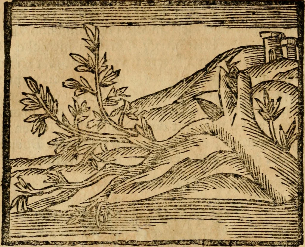 An illustration from Gulden-spiegel, ofte opwekkinge tot christelijke deugden : afgedeelt in twee deelen : waar in vertoond werd de schadelijkheyd der zonden, mitsgaders de goedigheyd en weldaaden Godts over den boetveerdigen, tot leeringe en stigtinge aller christenen toe-gepast : nog is hier by gevoegt Thamars ontschaking, of de verdoolde liefde van Ammon : als mede de vermaakelijke bruylofts-kroon : doorblogten met verscheyde leerzame gedigten, vermaakelijke bruylofts en aandagtige liedekens : voorgesteld op de vier geteyden van den dag, 1763, leaf 39