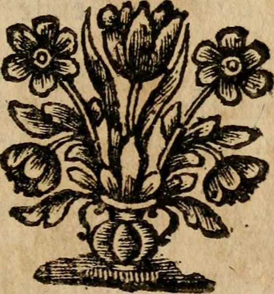 An illustration from Gulden-spiegel, ofte opwekkinge tot christelijke deugden : afgedeelt in twee deelen : waar in vertoond werd de schadelijkheyd der zonden, mitsgaders de goedigheyd en weldaaden Godts over den boetveerdigen, tot leeringe en stigtinge aller christenen toe-gepast : nog is hier by gevoegt Thamars ontschaking, of de verdoolde liefde van Ammon : als mede de vermaakelijke bruylofts-kroon : doorblogten met verscheyde leerzame gedigten, vermaakelijke bruylofts en aandagtige liedekens : voorgesteld op de vier geteyden van den dag, 1763, leaf 46