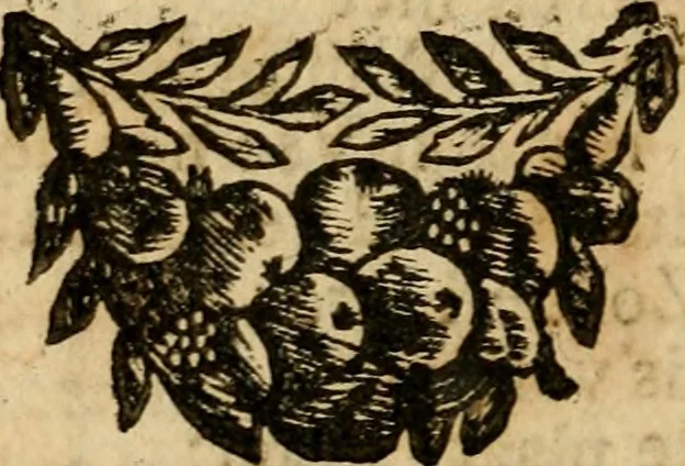 An illustration from Gulden-spiegel, ofte opwekkinge tot christelijke deugden : afgedeelt in twee deelen : waar in vertoond werd de schadelijkheyd der zonden, mitsgaders de goedigheyd en weldaaden Godts over den boetveerdigen, tot leeringe en stigtinge aller christenen toe-gepast : nog is hier by gevoegt Thamars ontschaking, of de verdoolde liefde van Ammon : als mede de vermaakelijke bruylofts-kroon : doorblogten met verscheyde leerzame gedigten, vermaakelijke bruylofts en aandagtige liedekens : voorgesteld op de vier geteyden van den dag, 1763, leaf 81