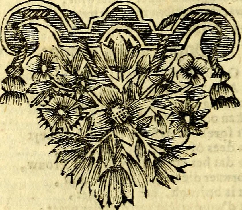 An illustration from Gulden-spiegel; ofte, Opweckinge tot christelijke deugden, afgebeeld in twee deelen ... Noch is hier by-gevoeght Thamars ontschaking; of, De verdoolde liefde van Ammon. Als mede de Vermaeckelijcke bruylofts-kroon ... gerijmt door Jacob Coenraeds Mayvogel, 1699, leaf 146