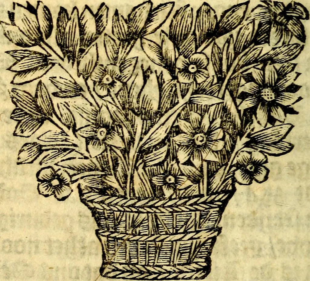 An illustration from Gulden-spiegel; ofte, Opweckinge tot christelijke deugden, afgebeeld in twee deelen ... Noch is hier by-gevoeght Thamars ontschaking; of, De verdoolde liefde van Ammon. Als mede de Vermaeckelijcke bruylofts-kroon ... gerijmt door Jacob Coenraeds Mayvogel, 1699, leaf 258