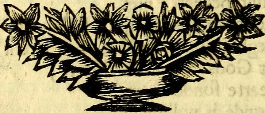 An illustration from Gulden-spiegel; ofte, Opweckinge tot christelijke deugden, afgebeeld in twee deelen ... Noch is hier by-gevoeght Thamars ontschaking; of, De verdoolde liefde van Ammon. Als mede de Vermaeckelijcke bruylofts-kroon ... gerijmt door Jacob Coenraeds Mayvogel, 1699, leaf 86