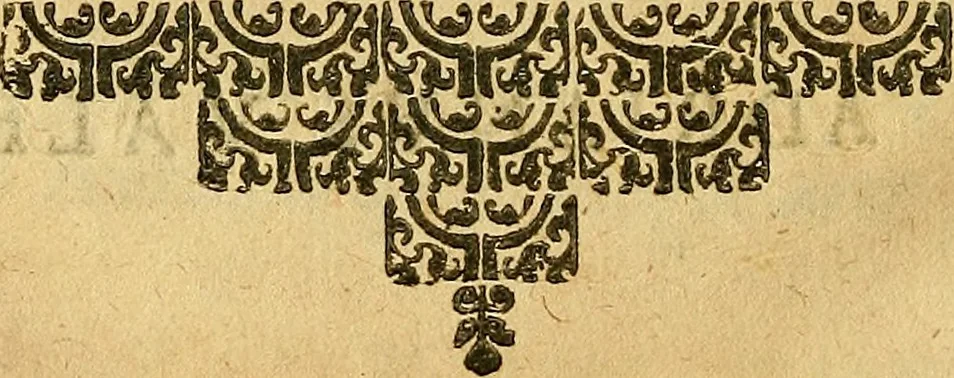 An illustration from Gulielmi Ballonii ... De conuulsionibus libellus : in quo solennis quaestio explicatur, cur sauciatis dextrâ capitis parte conuulsio sanae partis contingat, 1640, leaf 19