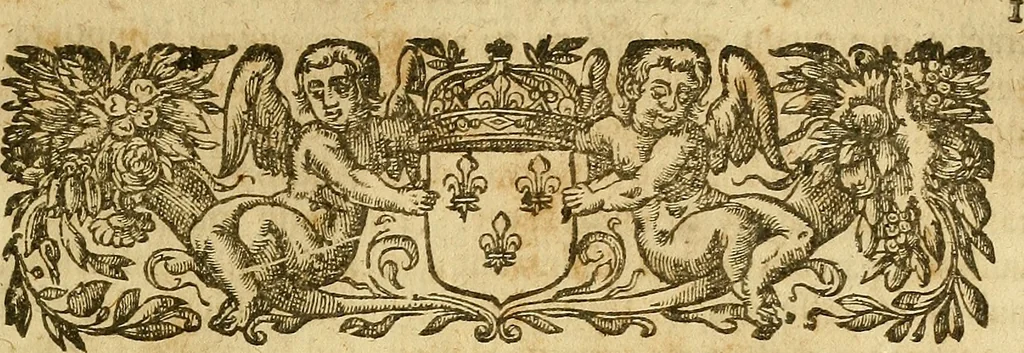An illustration from Gulielmi Ballonii ... De conuulsionibus libellus : in quo solennis quaestio explicatur, cur sauciatis dextrâ capitis parte conuulsio sanae partis contingat, 1640, leaf 20