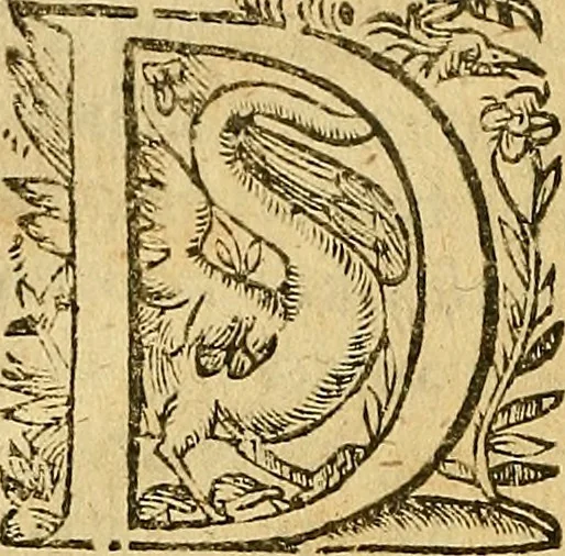 An illustration from Gulielmi Ballonii ... De conuulsionibus libellus : in quo solennis quaestio explicatur, cur sauciatis dextrâ capitis parte conuulsio sanae partis contingat, 1640, leaf 69