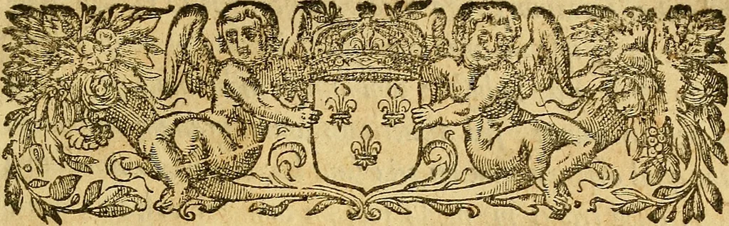An illustration from Gulielmi Ballonii ... De conuulsionibus libellus : in quo solennis quaestio explicatur, cur sauciatis dextrâ capitis parte conuulsio sanae partis contingat, 1640, leaf 8