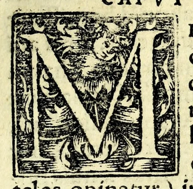 An illustration from Gulielmi Grataroli Bergomatis artium & medicinae doctoris Opuscula, uidelicet, De memoria reparanda, augenda, conseruandaq́[ue], ac de reminiscentia : tutiora omnimoda remedia, praeceptionesq́[ue] optimae ; De praedictione morum naturarumq́[ue] hominum, cum ex inspectione partium corporis, tum alijs modis ; De temporum omnimoda mutatione, per petua & certissima signa & prognostica : omnia ab auctore correcta, aucta satis, & ultimô edita, 1554, leaf 17