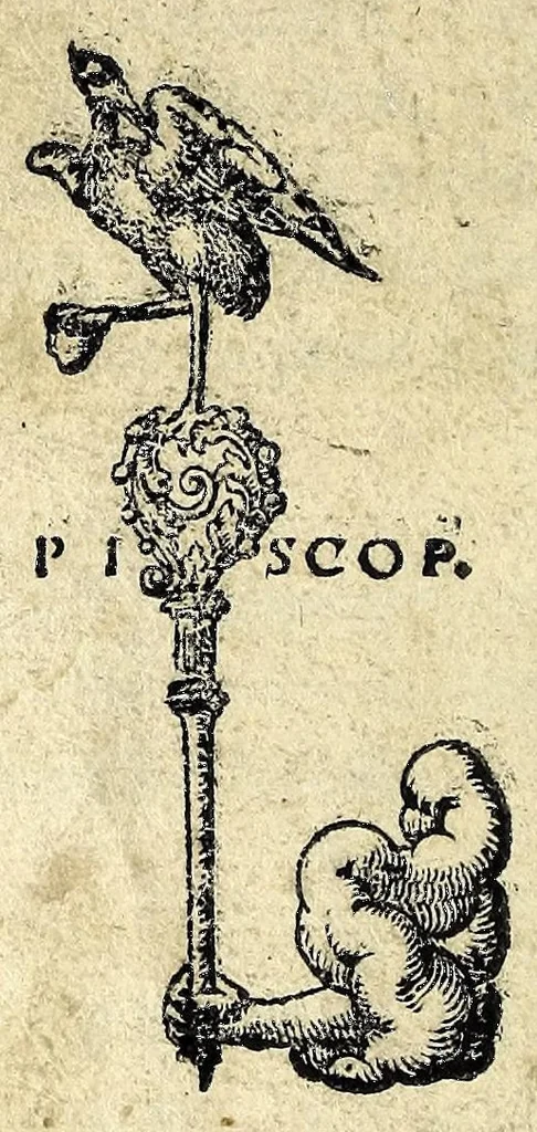 An illustration from Gulielmi Grataroli Bergomatis artium & medicinae doctoris Opuscula, uidelicet, De memoria reparanda, augenda, conseruandaq́[ue], ac de reminiscentia : tutiora omnimoda remedia, praeceptionesq́[ue] optimae ; De praedictione morum naturarumq́[ue] hominum, cum ex inspectione partium corporis, tum alijs modis ; De temporum omnimoda mutatione, per petua & certissima signa & prognostica : omnia ab auctore correcta, aucta satis, & ultimô edita, 1554, leaf 268