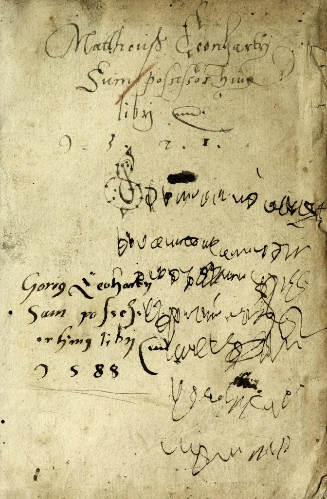 An illustration from Gulielmi Grataroli Bergomatis artium & medicinae doctoris Opuscula, uidelicet, De memoria reparanda, augenda, conseruandaq́[ue], ac de reminiscentia : tutiora omnimoda remedia, praeceptionesq́[ue] optimae ; De praedictione morum naturarumq́[ue] hominum, cum ex inspectione partium corporis, tum alijs modis ; De temporum omnimoda mutatione, per petua & certissima signa & prognostica : omnia ab auctore correcta, aucta satis, & ultimô edita, 1554, leaf 3