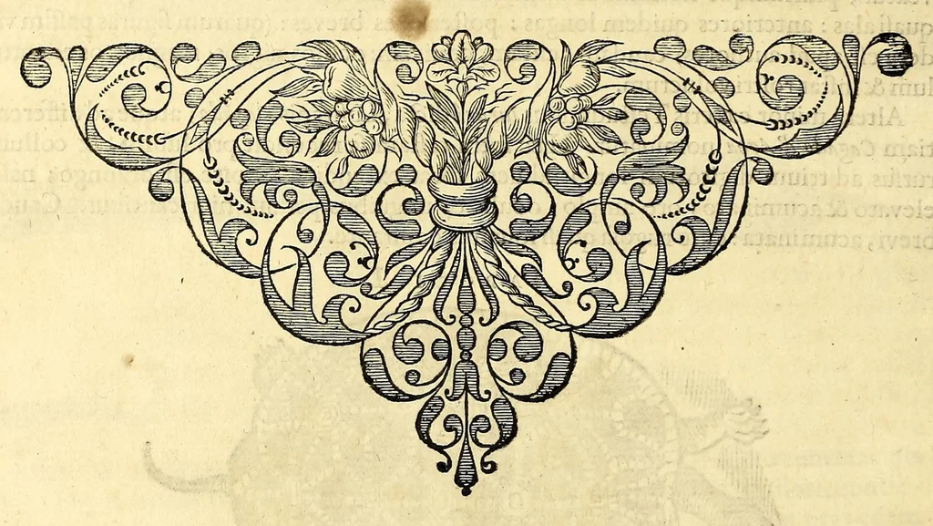 An illustration from Gulielmi Pisonis medici Amstelædamensis De Indiæ utriusque re naturali et medica libri quatuordecim, quorum contenta pagina sequens exhibet, 1658, leaf 134