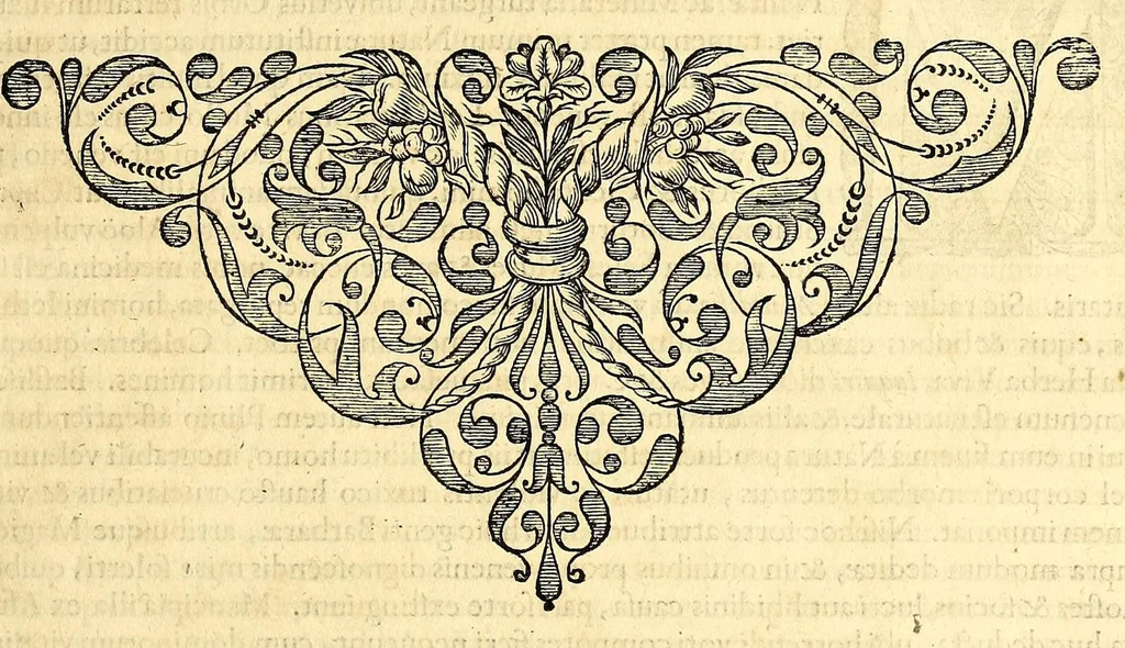 An illustration from Gulielmi Pisonis medici Amstelædamensis De Indiæ utriusque re naturali et medica libri quatuordecim, quorum contenta pagina sequens exhibet, 1658, leaf 299