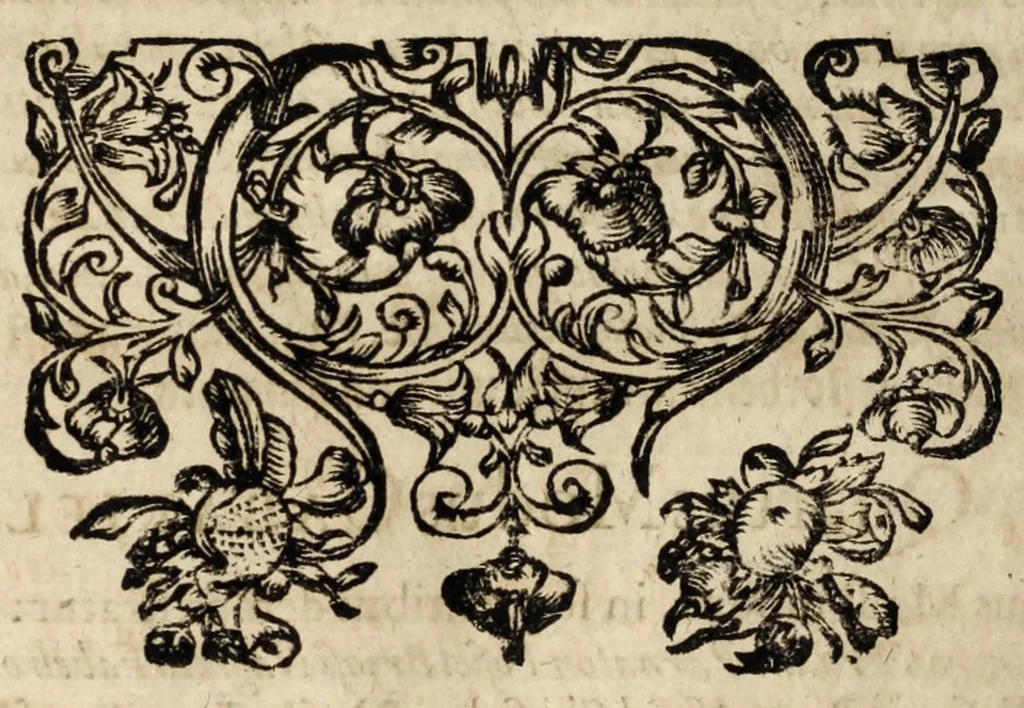 An illustration from Gustavi Seleni Cryptomenytices et cryptographiae libri IX : in quibus & planissima Steganographiae a Johanne Trithemio, abbate Spanheymensi & Herbipolensi, admirandi ingenij viro, magice & aenigmatice olim conscriptae, enodatio traditur : inspersis ubique authoris ac aliorum, non contemnendis inventis, 1624, leaf 100