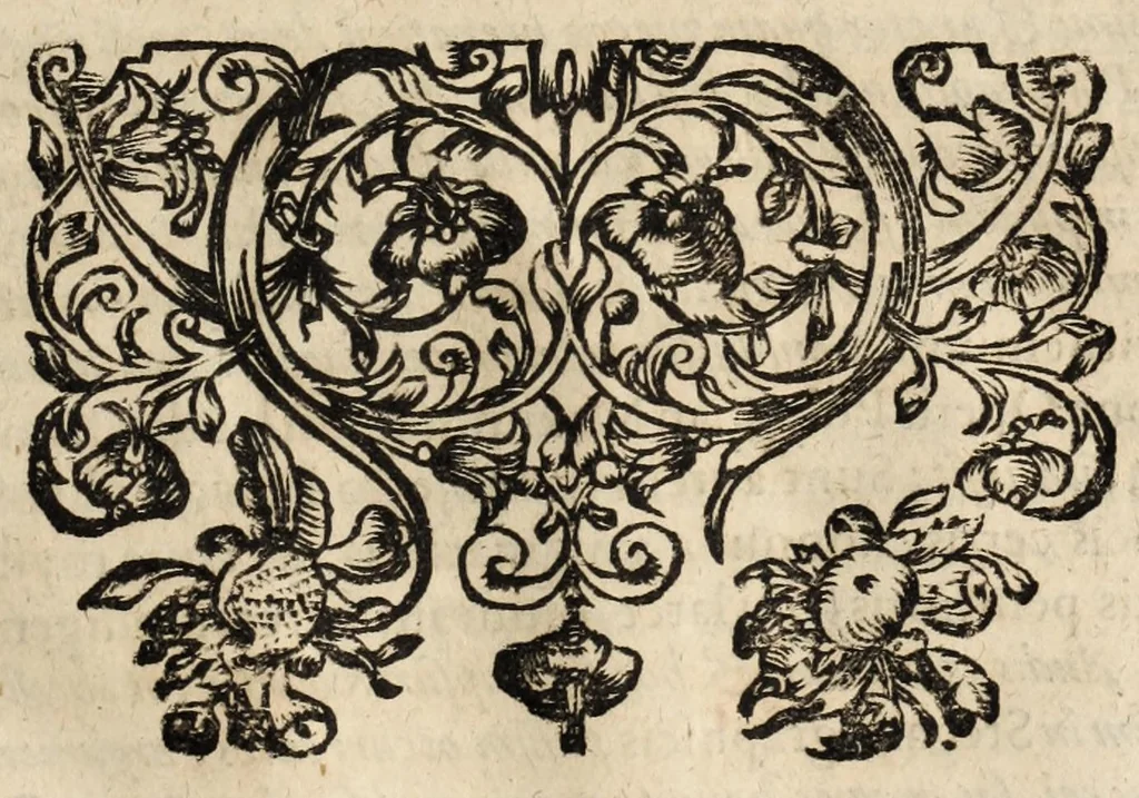 An illustration from Gustavi Seleni Cryptomenytices et cryptographiae libri IX : in quibus & planissima Steganographiae a Johanne Trithemio, abbate Spanheymensi & Herbipolensi, admirandi ingenij viro, magice & aenigmatice olim conscriptae, enodatio traditur : inspersis ubique authoris ac aliorum, non contemnendis inventis, 1624, leaf 187