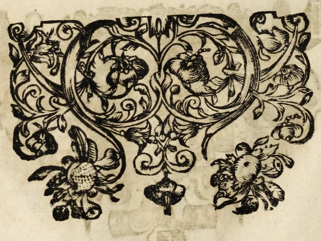 An illustration from Gustavi Seleni Cryptomenytices et cryptographiae libri IX : in quibus & planissima Steganographiae a Johanne Trithemio, abbate Spanheymensi & Herbipolensi, admirandi ingenij viro, magice & aenigmatice olim conscriptae, enodatio traditur : inspersis ubique authoris ac aliorum, non contemnendis inventis, 1624, leaf 202