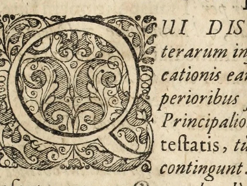 An illustration from Gustavi Seleni Cryptomenytices et cryptographiae libri IX : in quibus & planissima Steganographiae a Johanne Trithemio, abbate Spanheymensi & Herbipolensi, admirandi ingenij viro, magice & aenigmatice olim conscriptae, enodatio traditur : inspersis ubique authoris ac aliorum, non contemnendis inventis, 1624, leaf 215