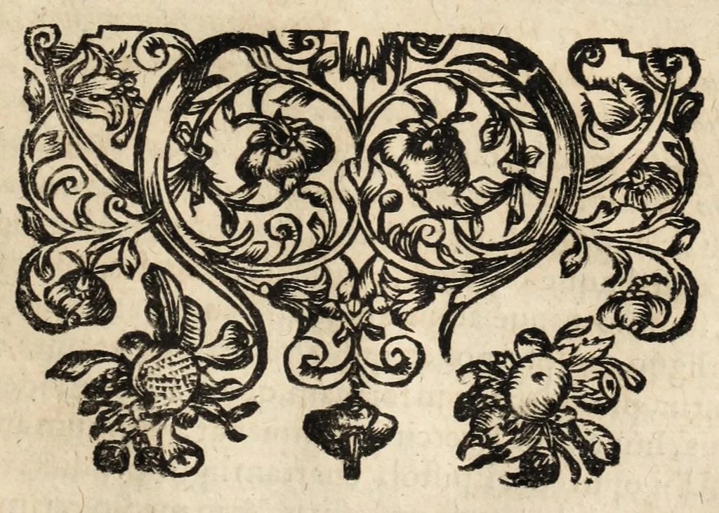 An illustration from Gustavi Seleni Cryptomenytices et cryptographiae libri IX : in quibus & planissima Steganographiae a Johanne Trithemio, abbate Spanheymensi & Herbipolensi, admirandi ingenij viro, magice & aenigmatice olim conscriptae, enodatio traditur : inspersis ubique authoris ac aliorum, non contemnendis inventis, 1624, leaf 443