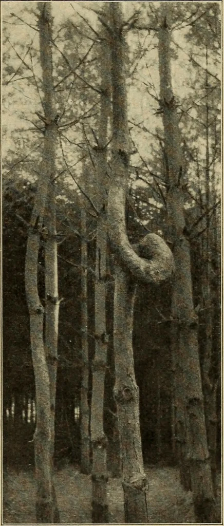 An illustration from Guter und schlechter Geschmack im Kunstgewerbe, 1912, leaf 220