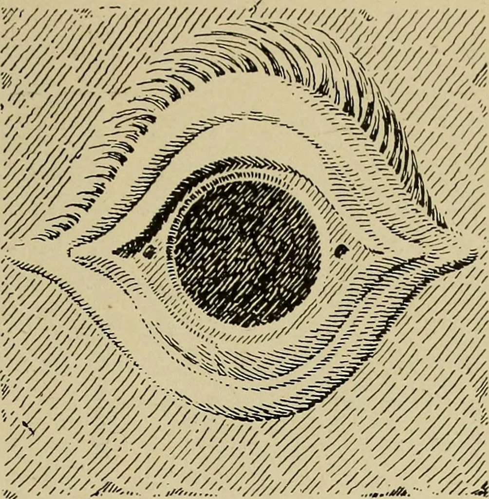 An illustration from Guter und schlechter Geschmack im Kunstgewerbe, 1912, leaf 270