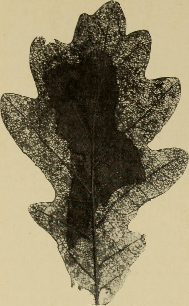 An illustration from Guter und schlechter Geschmack im Kunstgewerbe, 1912, leaf 55
