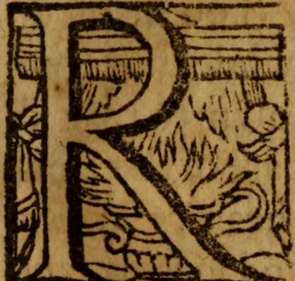 An illustration from Gildas Salvianus : the reformed pastor ; Shewing the nature of the pastoral work, especially in private instruction and catechizing. With an open confession of our too open sins. Prepared for a day of humiliation kept at Worcester, Decemb. 4 1655. by the ministers of that county ..., 1657, leaf 222
