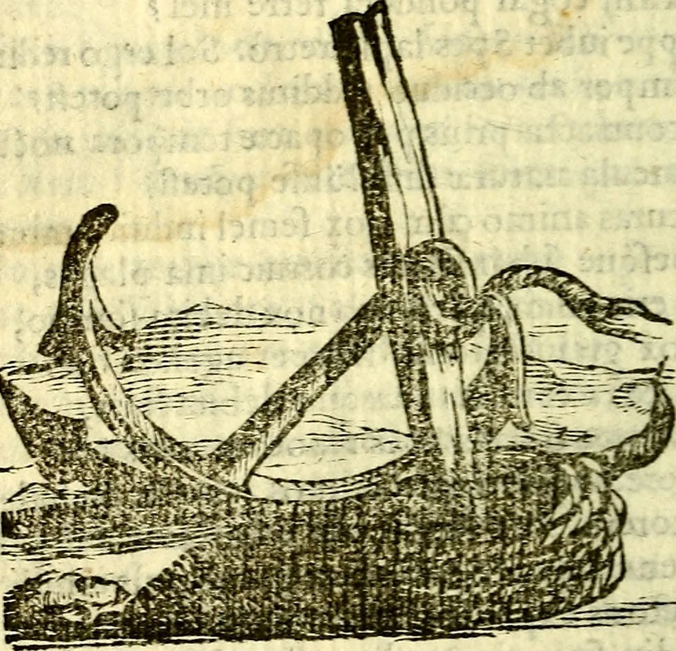 An illustration from Gvilielmi HesI antverpiensis è Societate Iesv Emblemata sacra de fide, spe, charitate, 1636, leaf 217