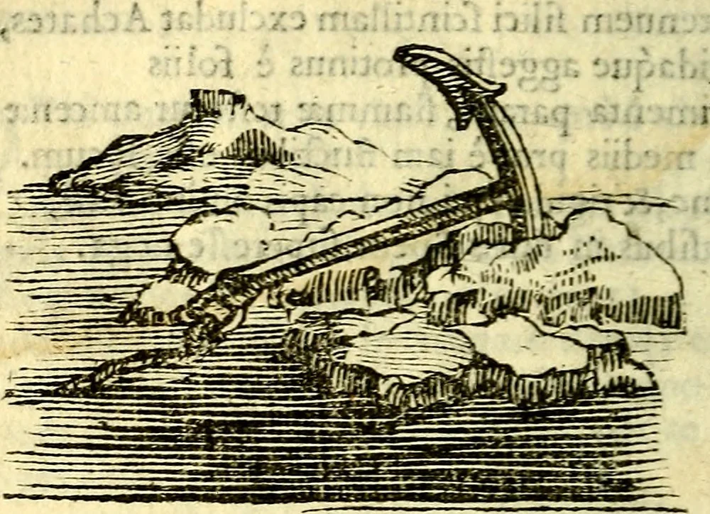 An illustration from Gvilielmi HesI antverpiensis è Societate Iesv Emblemata sacra de fide, spe, charitate, 1636, leaf 243