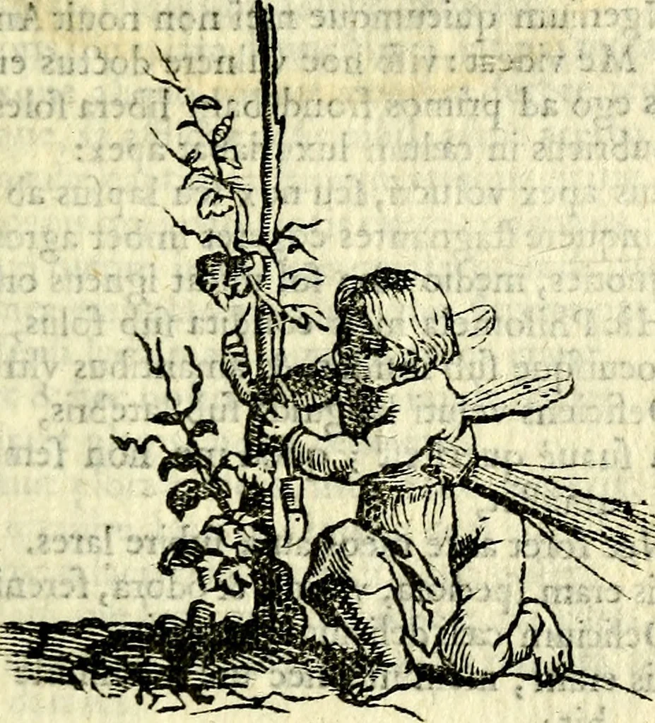 An illustration from Gvilielmi HesI antverpiensis è Societate Iesv Emblemata sacra de fide, spe, charitate, 1636, leaf 298
