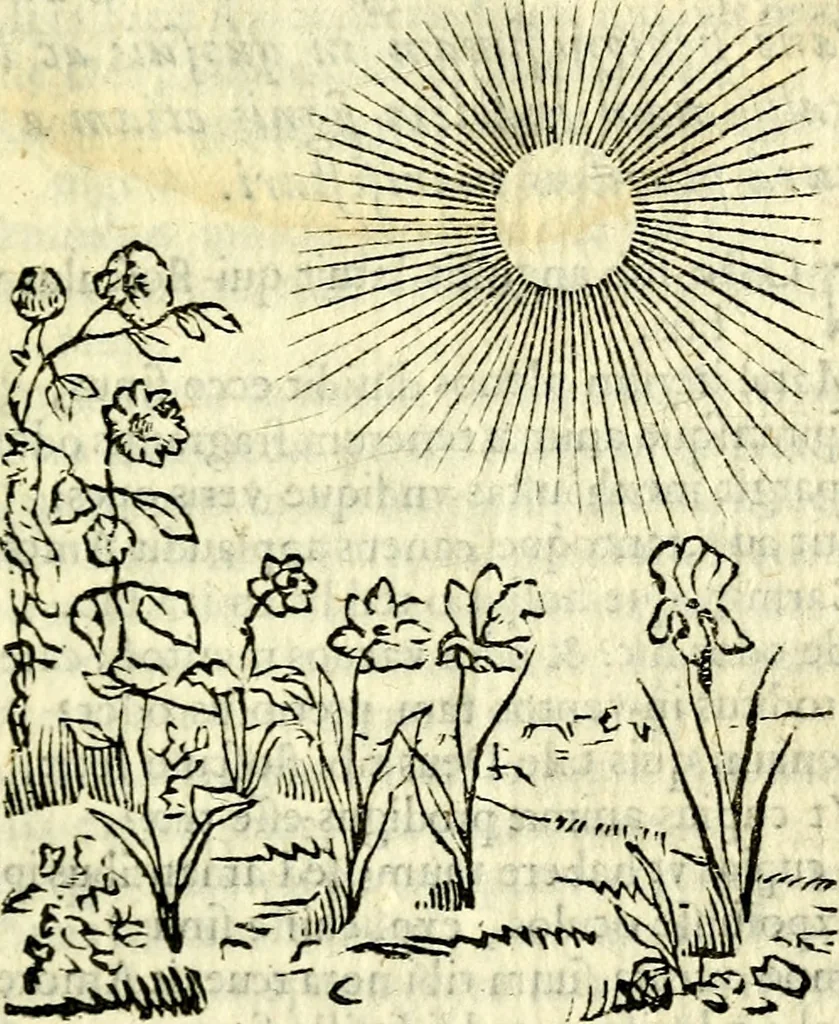 An illustration from Gvilielmi HesI antverpiensis è Societate Iesv Emblemata sacra de fide, spe, charitate, 1636, leaf 302