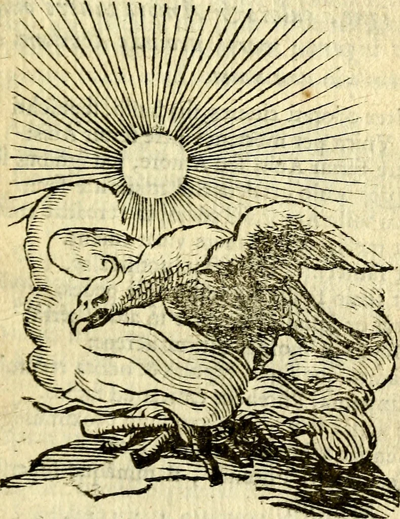 An illustration from Gvilielmi HesI antverpiensis è Societate Iesv Emblemata sacra de fide, spe, charitate, 1636, leaf 368