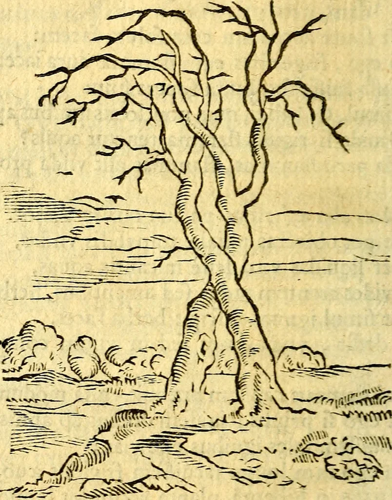An illustration from Gvilielmi HesI antverpiensis è Societate Iesv Emblemata sacra de fide, spe, charitate, 1636, leaf 399