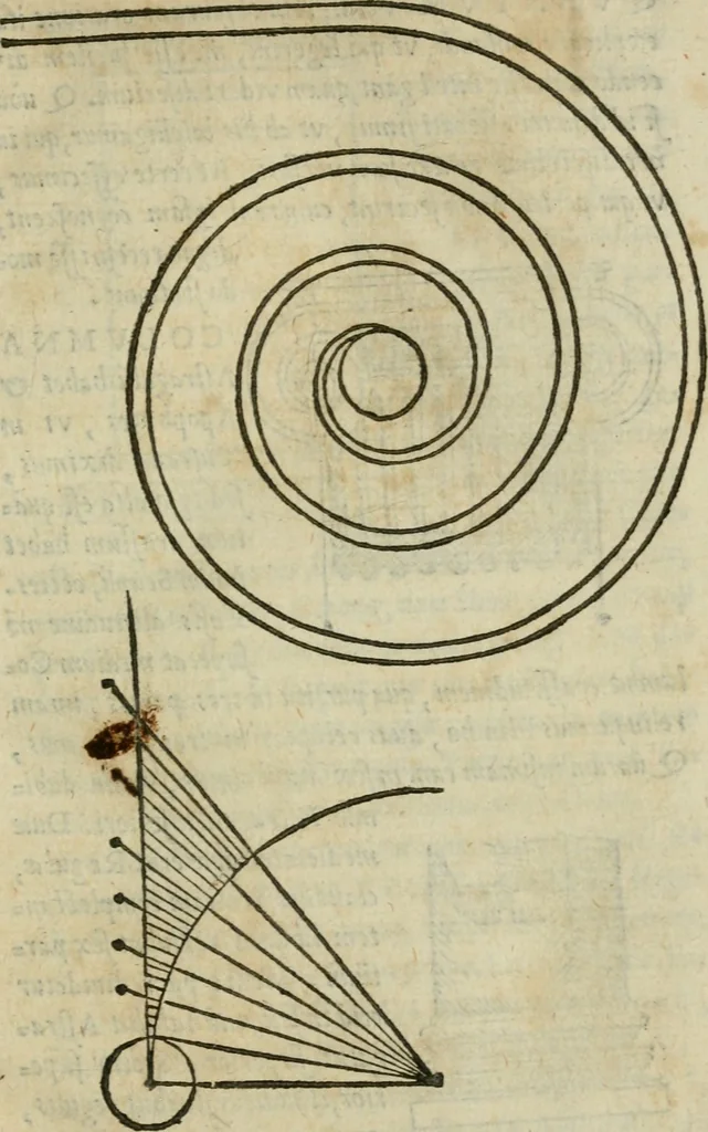 An illustration from Gvlielmi Philandri Castilionii Galli civis Ro. In decem libros M. Vitruuii Pollionis de architectura annotationes : cum indicibus graeco & latino locupletissimis, 1544, leaf 102