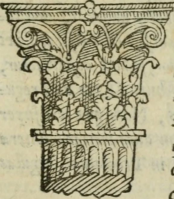 An illustration from Gvlielmi Philandri Castilionii Galli civis Ro. In decem libros M. Vitruuii Pollionis de architectura annotationes : cum indicibus graeco & latino locupletissimis, 1544, leaf 106