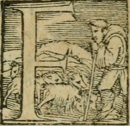 An illustration from Gvlielmi Philandri Castilionii Galli civis Ro. In decem libros M. Vitruuii Pollionis de architectura annotationes : cum indicibus graeco & latino locupletissimis, 1544, leaf 14