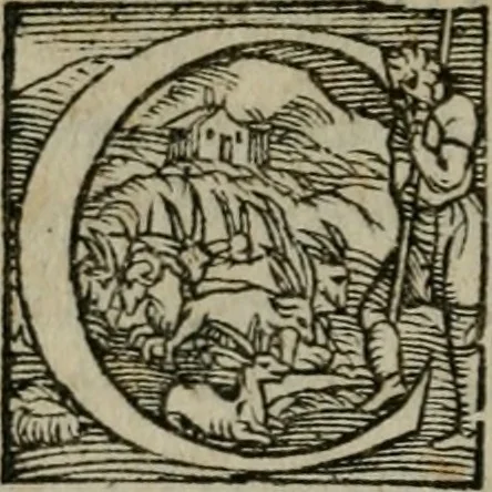 An illustration from Gvlielmi Philandri Castilionii Galli civis Ro. In decem libros M. Vitruuii Pollionis de architectura annotationes : cum indicibus graeco & latino locupletissimis, 1544, leaf 165