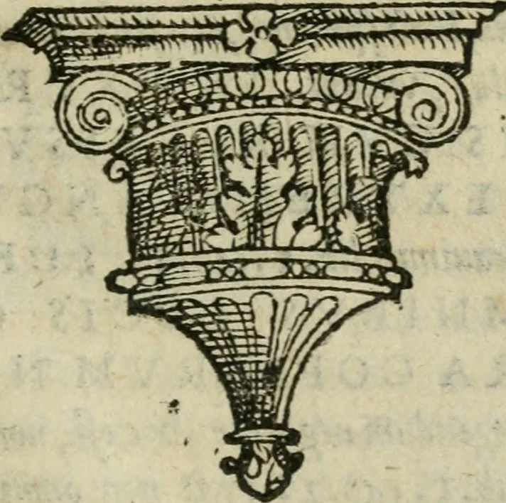 An illustration from Gvlielmi Philandri Castilionii Galli civis Ro. In decem libros M. Vitruuii Pollionis de architectura annotationes : cum indicibus graeco & latino locupletissimis, 1544, leaf 224