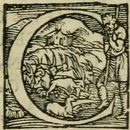 An illustration from Gvlielmi Philandri Castilionii Galli civis Ro. In decem libros M. Vitruuii Pollionis de architectura annotationes : cum indicibus graeco & latino locupletissimis, 1544, leaf 226