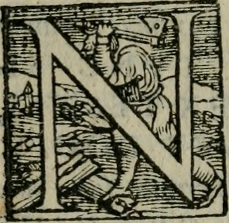 An illustration from Gvlielmi Philandri Castilionii Galli civis Ro. In decem libros M. Vitruuii Pollionis de architectura annotationes : cum indicibus graeco & latino locupletissimis, 1544, leaf 311
