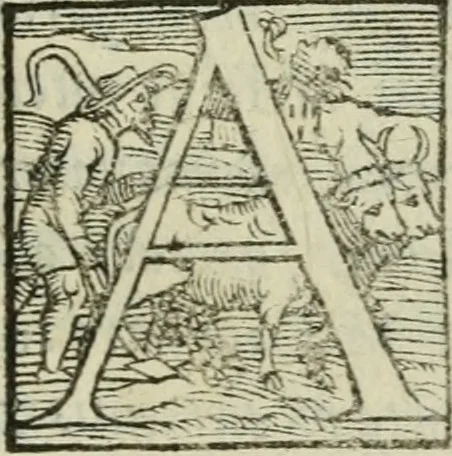 An illustration from Gvlielmi Philandri Castilionii Galli civis Ro. In decem libros M. Vitruuii Pollionis de architectura annotationes : cum indicibus graeco & latino locupletissimis, 1544, leaf 46