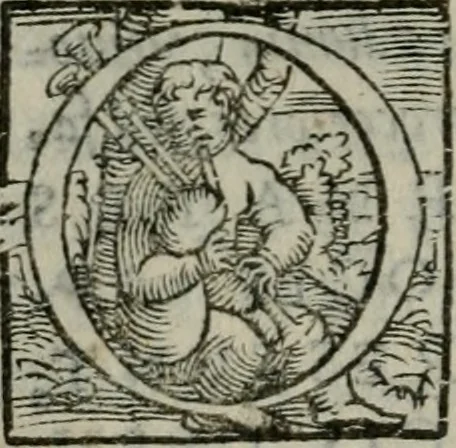 An illustration from Gvlielmi Philandri Castilionii Galli civis Ro. In decem libros M. Vitruuii Pollionis de architectura annotationes : cum indicibus graeco & latino locupletissimis, 1544, leaf 73