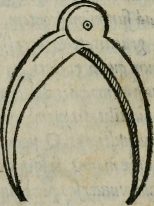 An illustration from Gvlielmi Philandri Castilionii Galli civis Ro. In decem libros M. Vitruuii Pollionis de architectura annotationes : cum indicibus graeco & latino locupletissimis, 1544, leaf 77