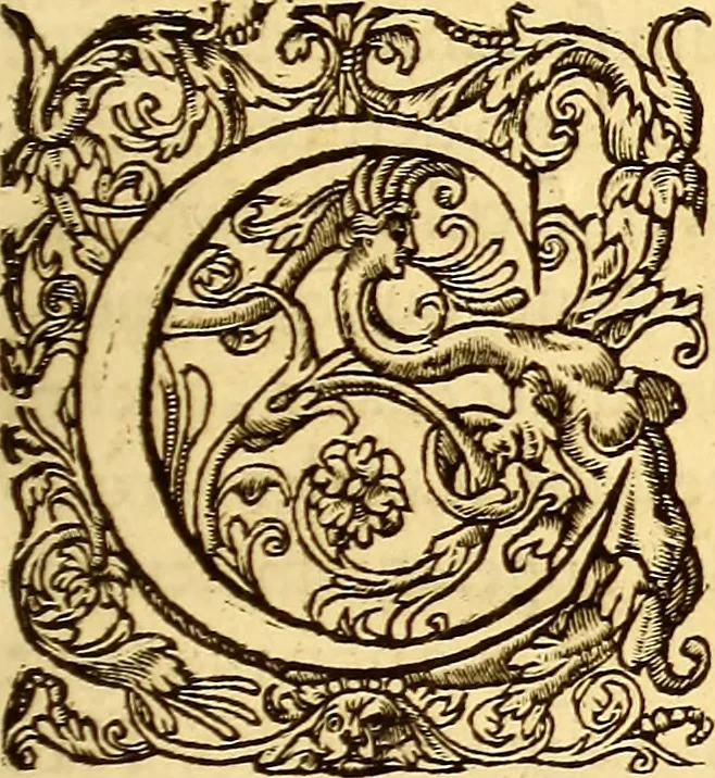 An illustration from Gvlielmi Rondeletii ... Libri de piscibus marinis, in quibus veræ piscium effigies expressæ sunt .., 1554, leaf 100