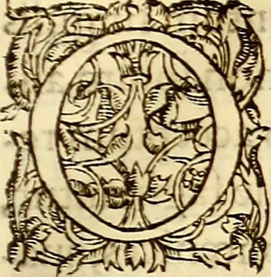 An illustration from Gvlielmi Rondeletii ... Libri de piscibus marinis, in quibus veræ piscium effigies expressæ sunt .., 1554, leaf 102