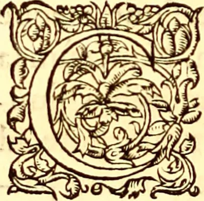 An illustration from Gvlielmi Rondeletii ... Libri de piscibus marinis, in quibus veræ piscium effigies expressæ sunt .., 1554, leaf 107