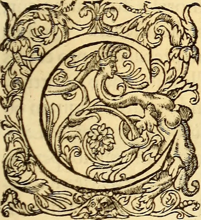 An illustration from Gvlielmi Rondeletii ... Libri de piscibus marinis, in quibus veræ piscium effigies expressæ sunt .., 1554, leaf 132